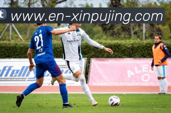 澳门新葡京娱乐全站App